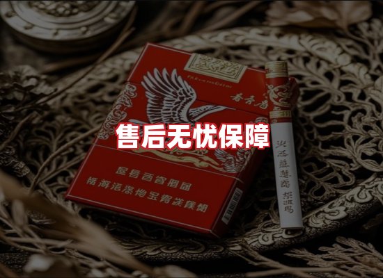 专业团队